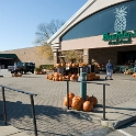 Buehlers Montville Duchek  CROP 2291